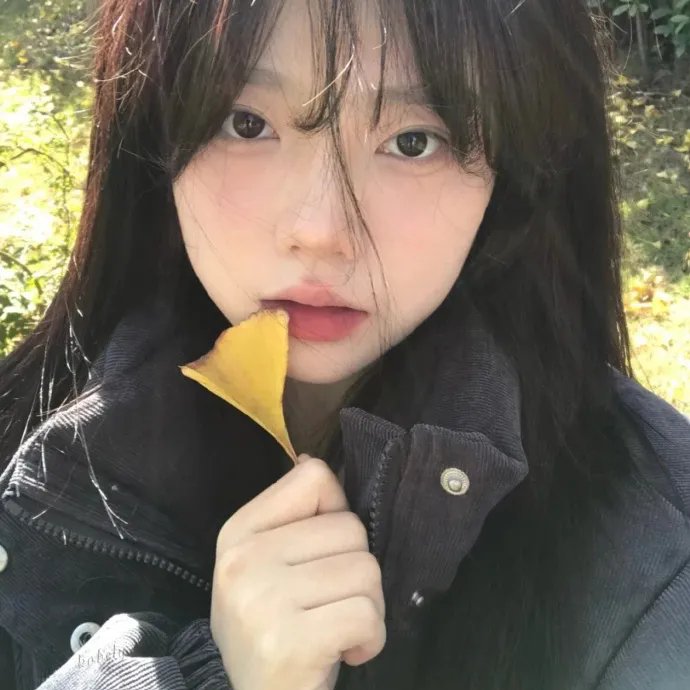 阿波罗之歌